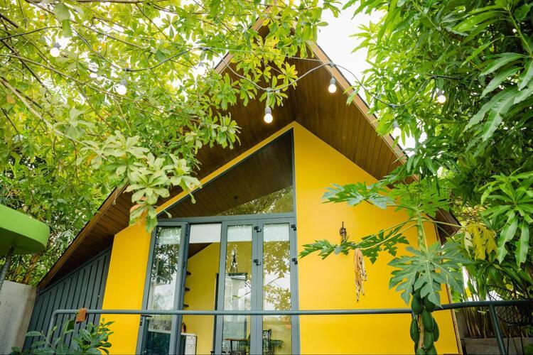 Tấm xi măng làm tường đẹp mắt, ấn tượng